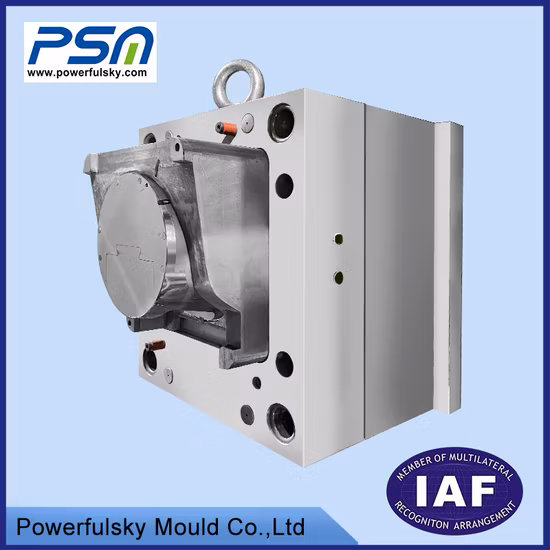 PC de PVC Pet HDPE Molde de inyección de plástico químico Piezas de herramientas de moldeo por inyección Productos de inyección de plástico